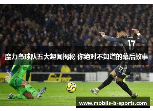 魔力鸟球队五大趣闻揭秘 你绝对不知道的幕后故事